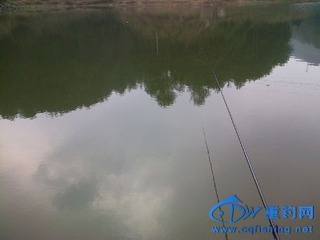 IMG-20140312-00539.jpg