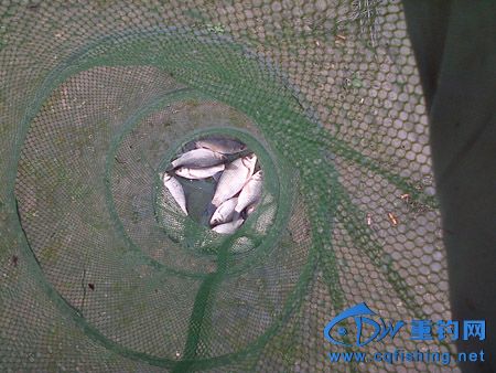 IMG-20140312-00543.jpg