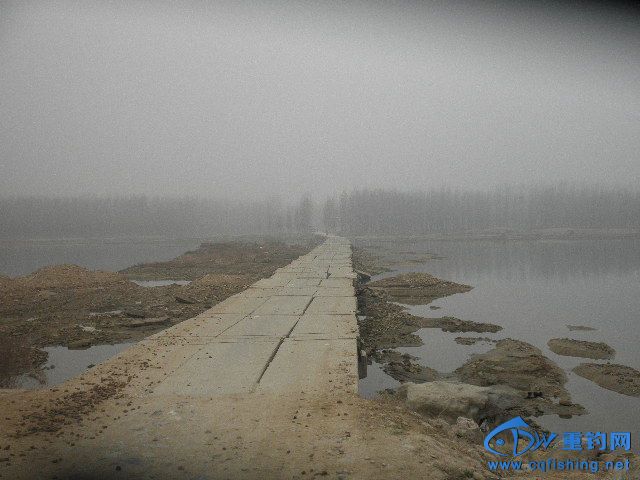 P1010002.JPG