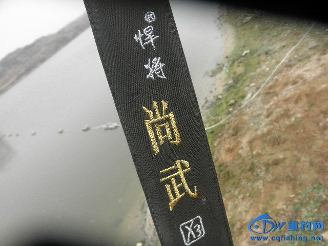 P1010008.JPG