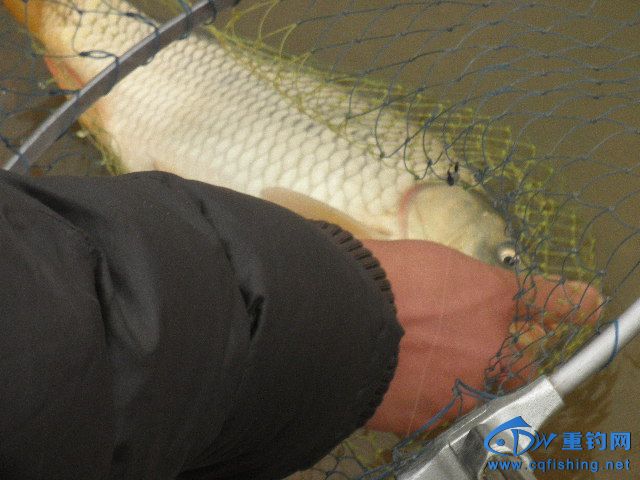 P1010023.JPG
