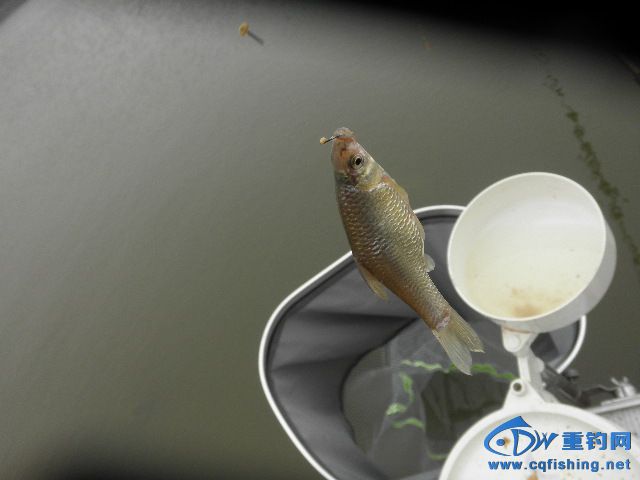 P1010030.JPG