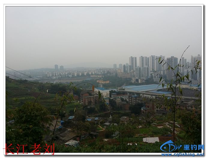 20140315_091633.jpg