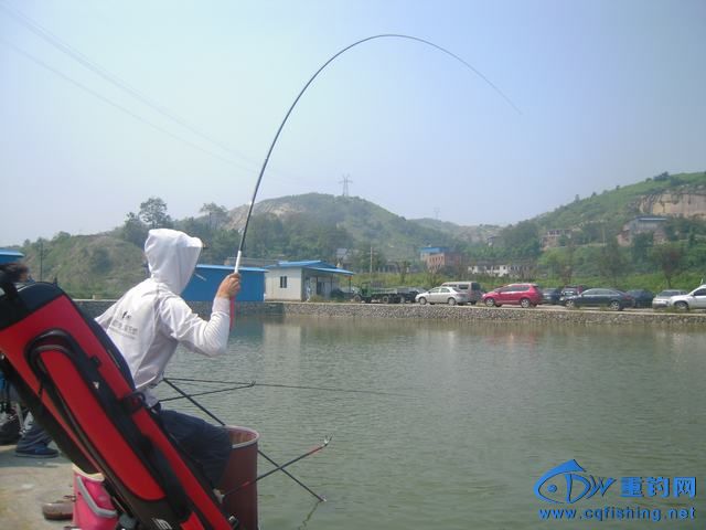 DSCN8393.JPG