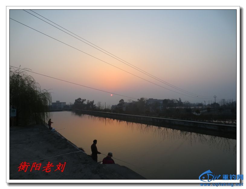 IMG_0317.jpg