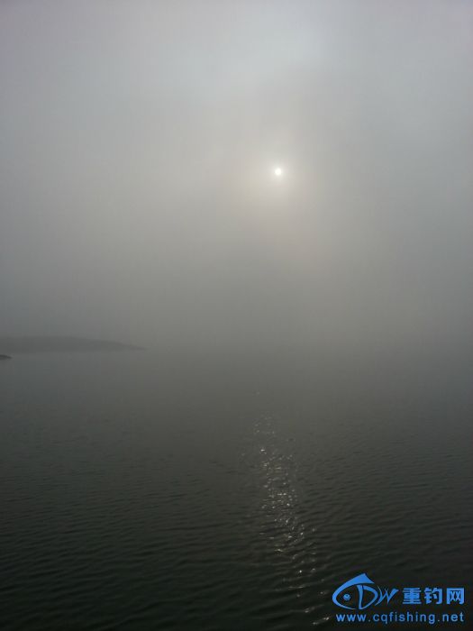 164034m388enmfduyvsfg8.jpg
