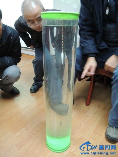 ѵ2.jpg