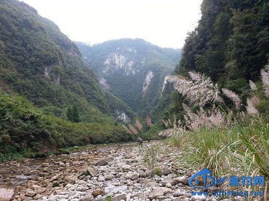 20131019_091335.jpg