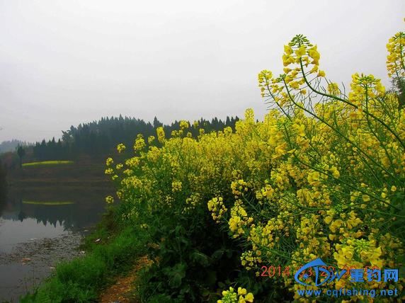 DSCN5310.JPG