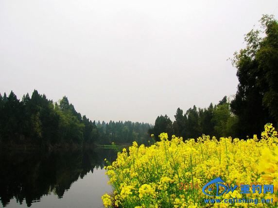 DSCN5320.JPG