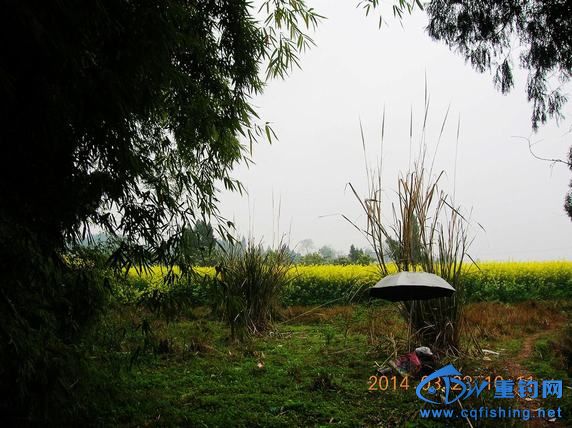 DSCN5328.JPG