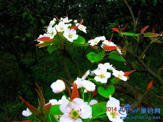 DSCN5329.JPG