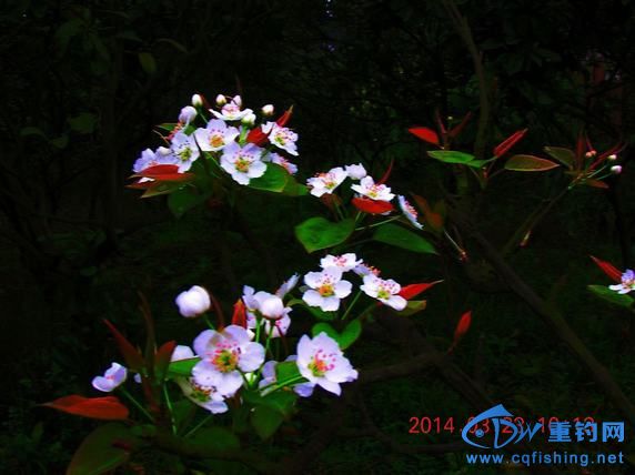 DSCN5330.JPG