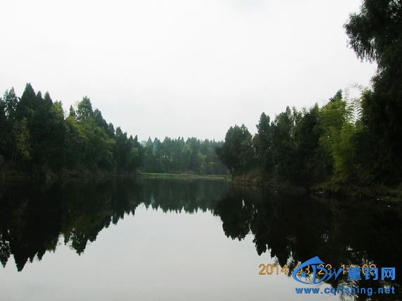 DSCN5333.JPG