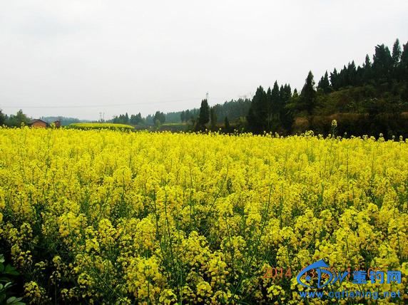 DSCN5334.JPG