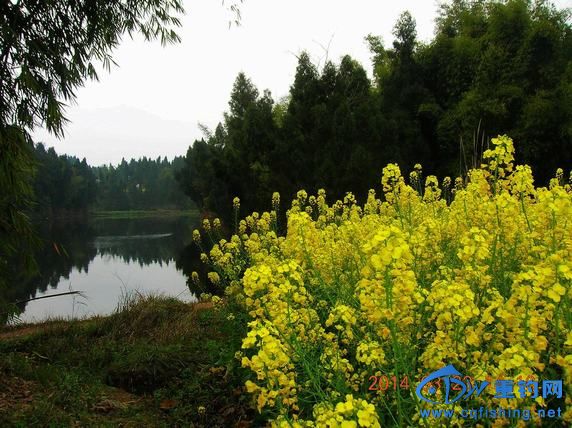 DSCN5337.JPG