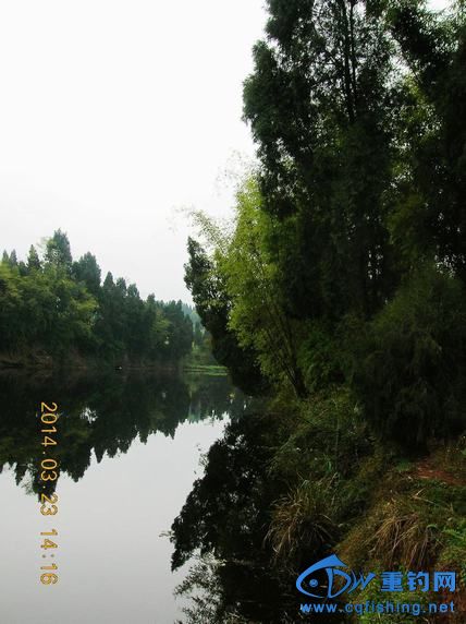 DSCN5345.JPG