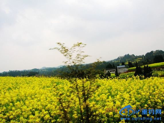 DSCN5364.JPG