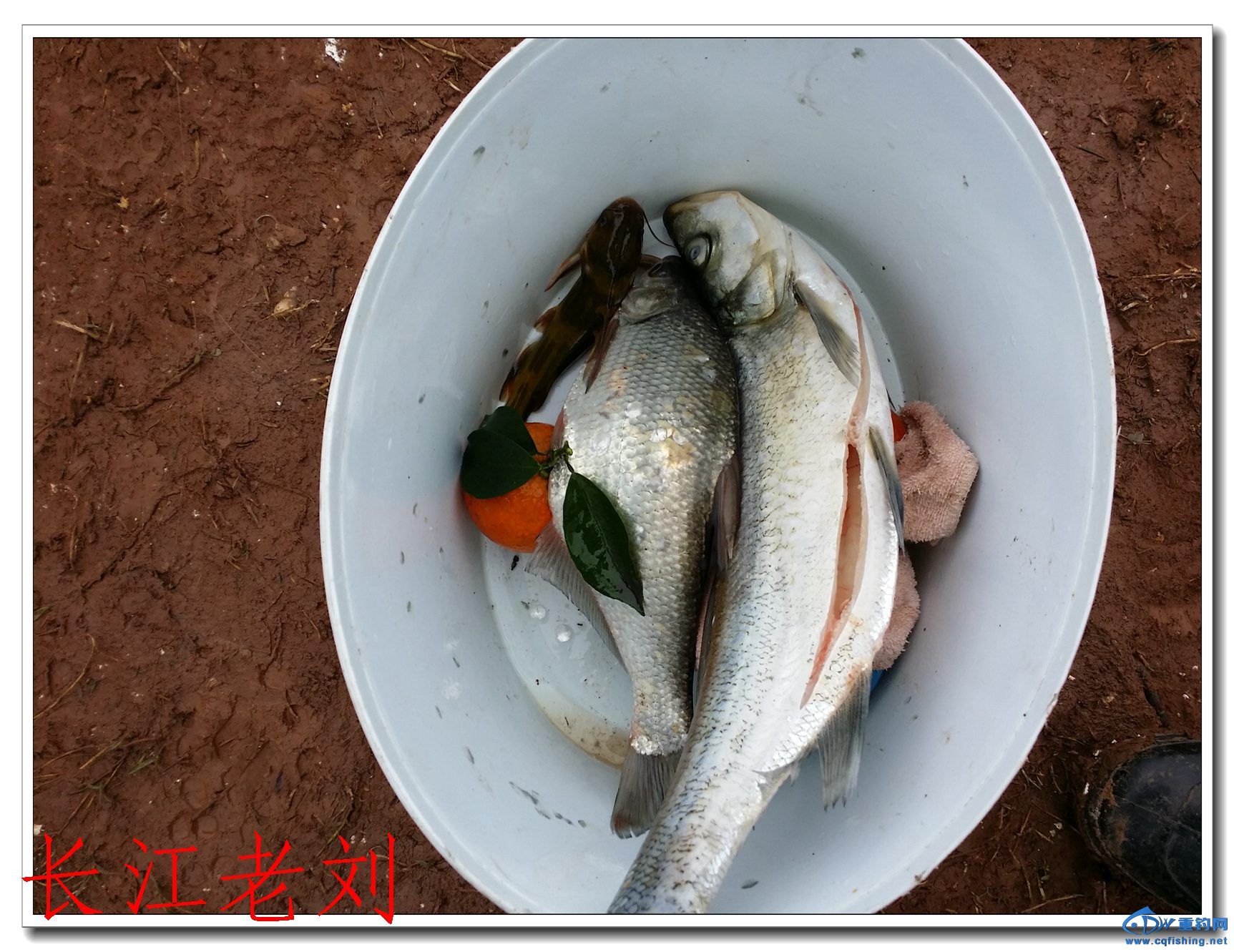 20140323_131643.jpg