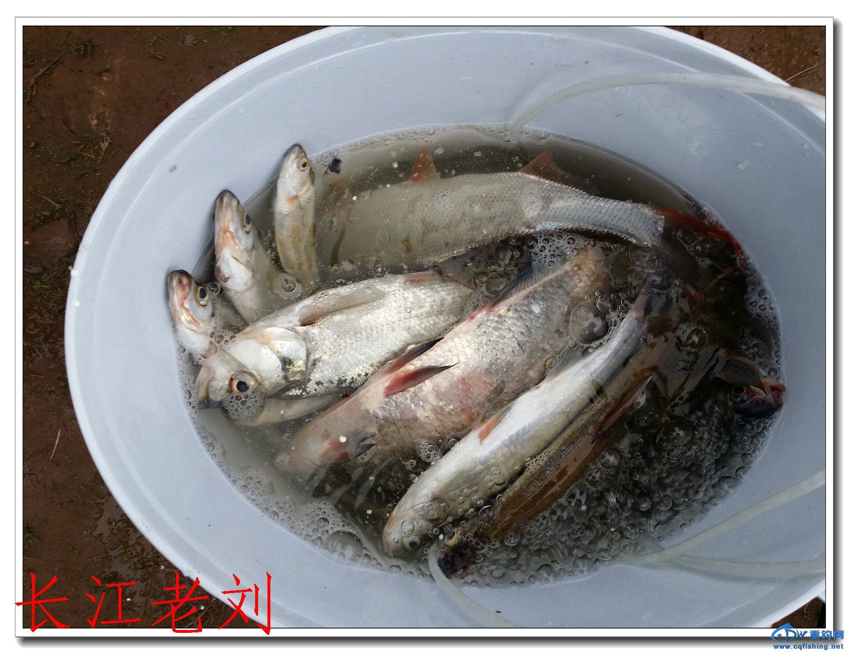 20140323_172218.jpg
