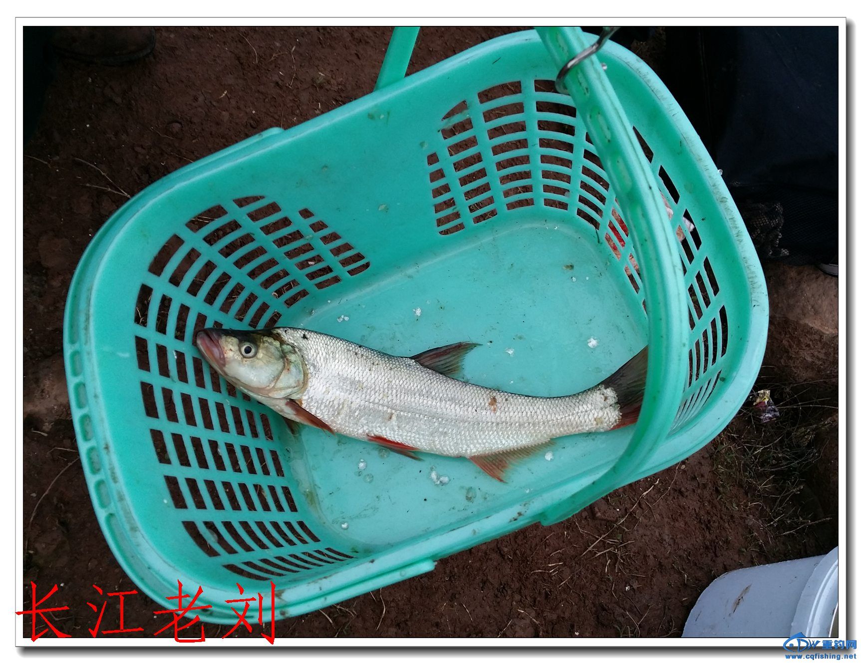 20140323_182551.jpg