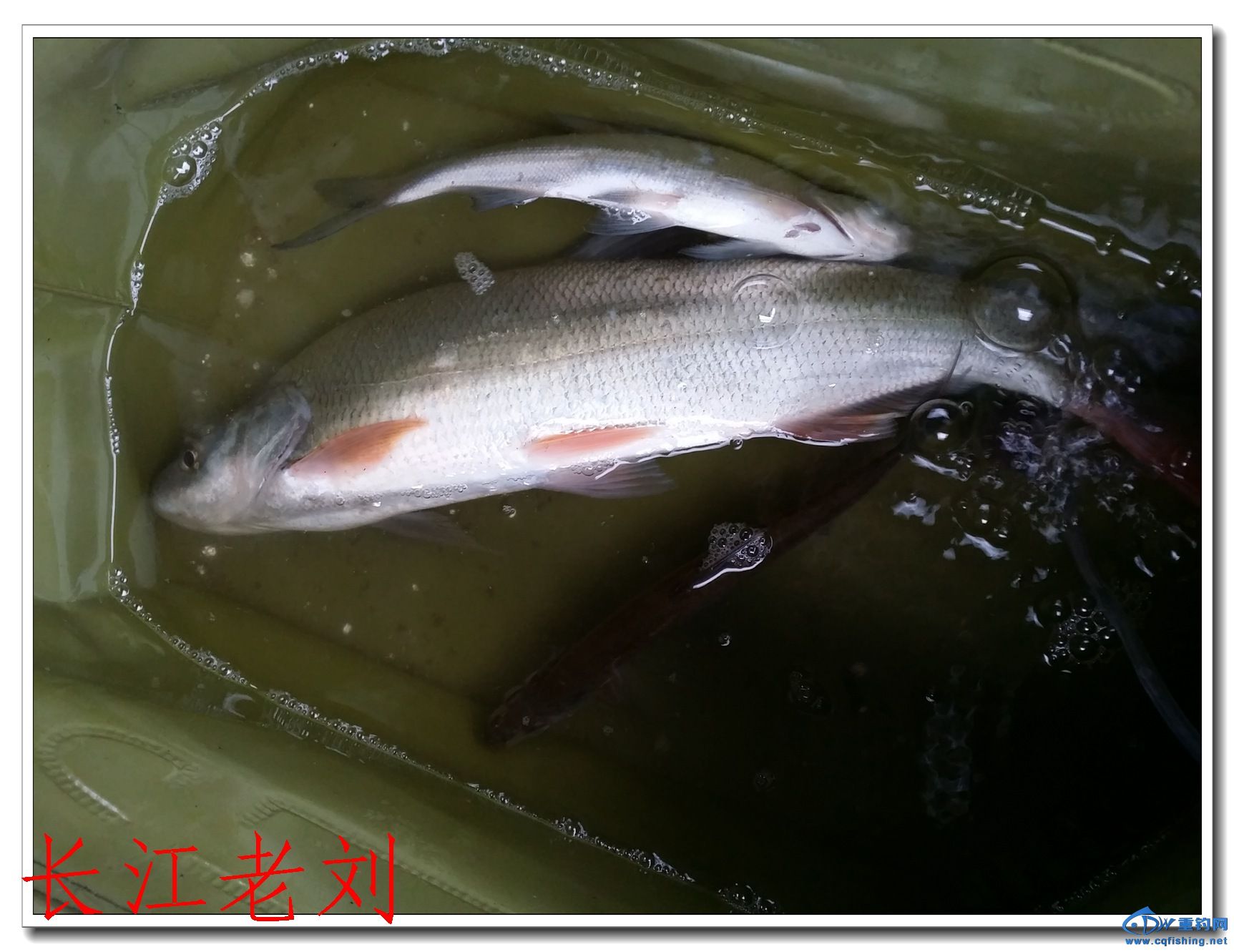 20140324_140621.jpg