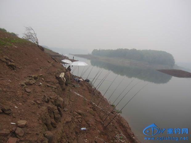 IMG_2353_С.jpg