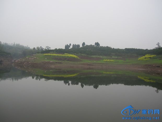 IMG_2386_С.jpg