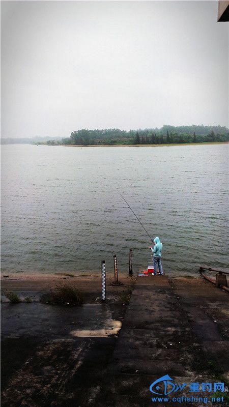 114136nbfgmxazxmkskaxy.jpg