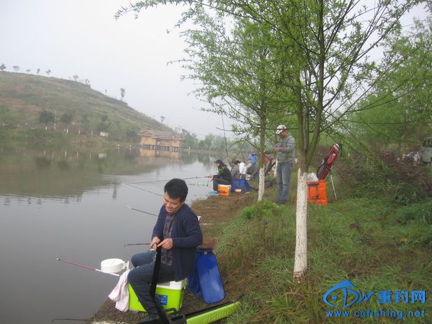 IMG_2433_С.jpg