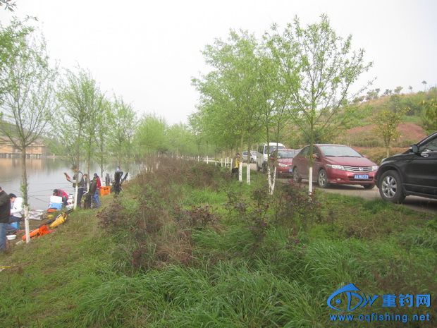 IMG_2443_С.jpg