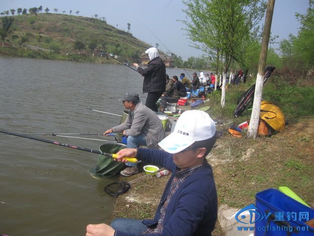 IMG_2448_С.jpg