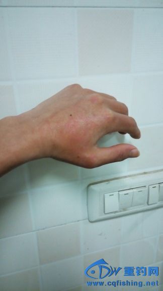 211047otql0tqfrtivzjij.jpg