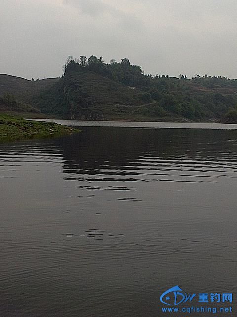 IMAG0447.jpg