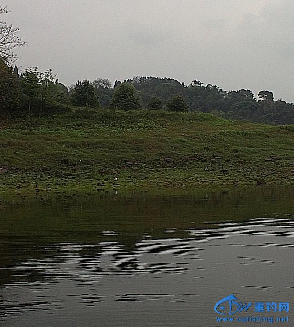 IMAG0448.jpg