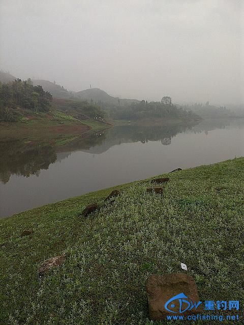 ҵĵλ