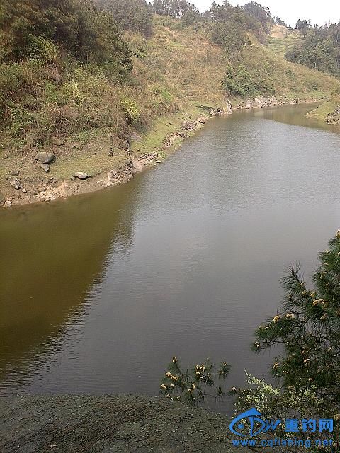 IMAG0470.jpg