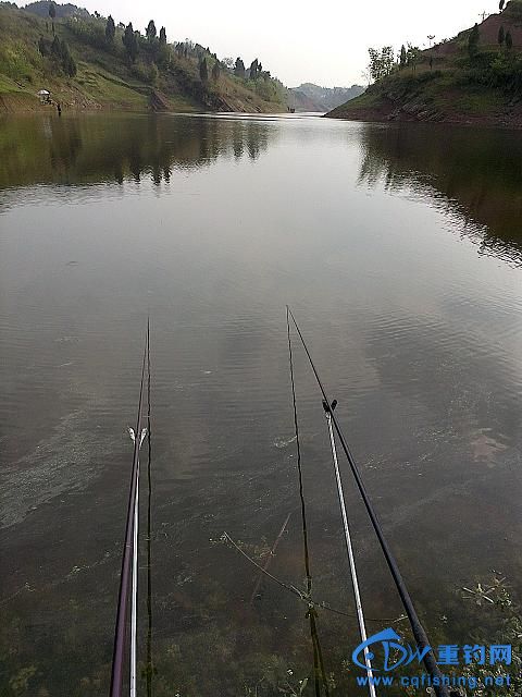 IMAG0474.jpg