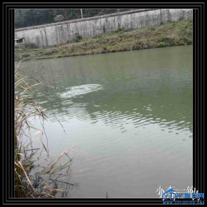 IMG_20140414_140925.jpg