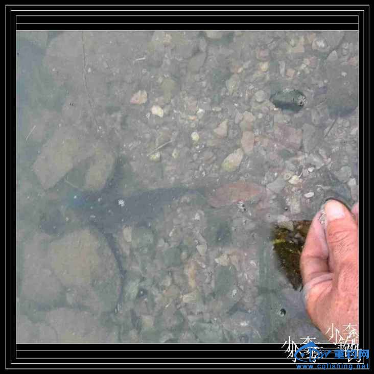 IMG_20140414_170439.jpg