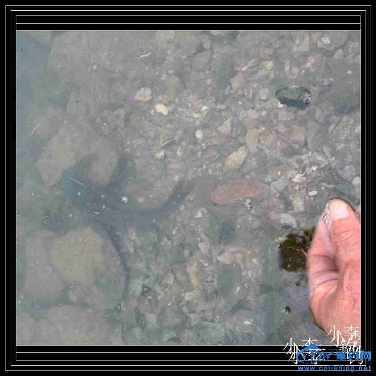 IMG_20140414_170440.jpg