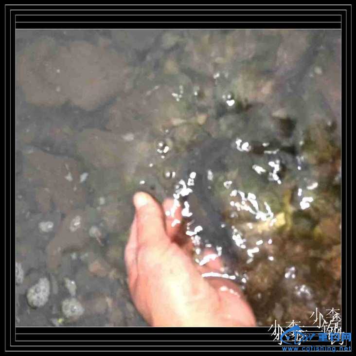 IMG_20140414_170425.jpg