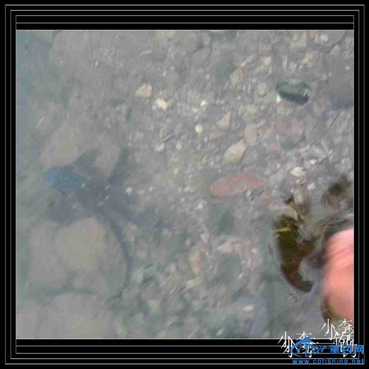 IMG_20140414_170440_1.jpg