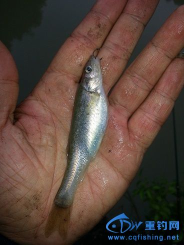 20140416_154600.jpg