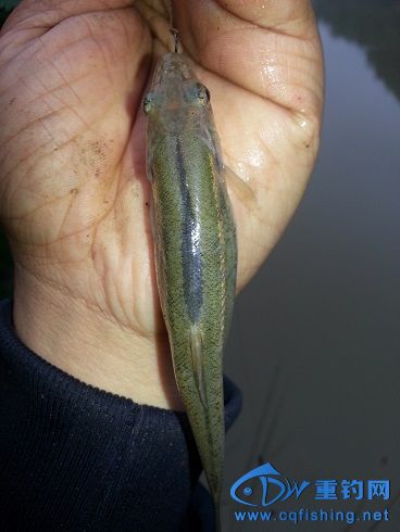 20140416_154615.jpg