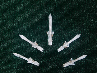 16a.jpg