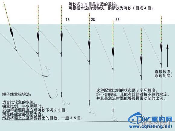 0 (24).jpg
