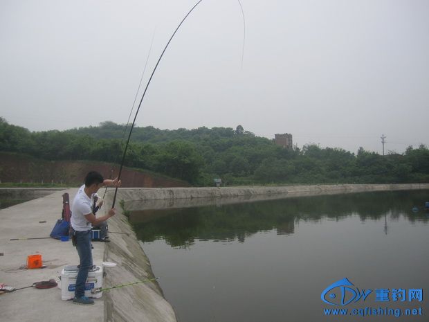 IMG_2864_С.jpg