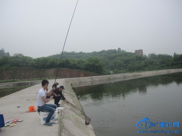 IMG_2866_С.jpg