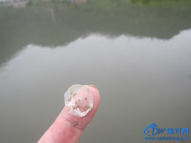 IMG_3033_С.jpg